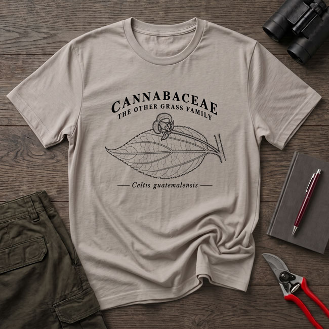 Celtis guatemalensis shirt