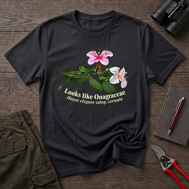 Hauya elegans shirt